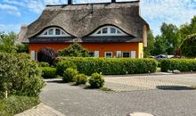 Treibholz II