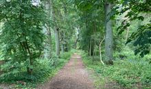 Waldweg am Ferienhaus