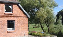 Ferienhaus Nele