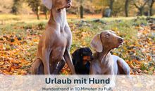 Urlaub mit Hund, Hundestrand in 10 Minuten zu Fuß, unbegrenzte Auslaufmöglichkeiten in den Wäldern
