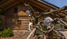 Essbereich in der Kueche