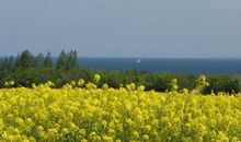 Ostseestrand Zierow