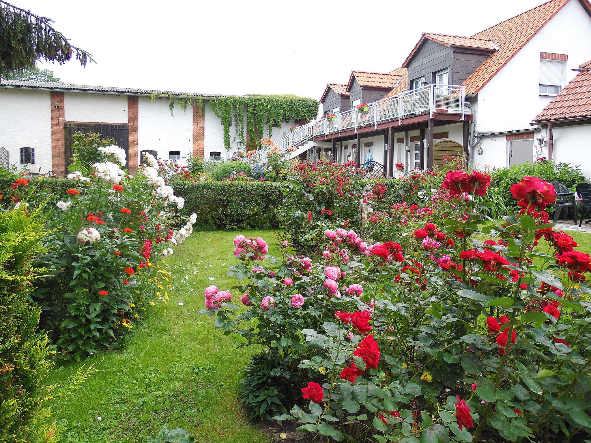 das idyllische Ferienhaus in Mönkebude
