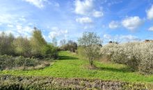 Blick in die mecklenburgische Natur