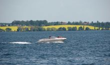 Ferienhaus Ostseetraum - ABC427