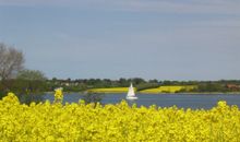 Die Schlei zur Rapsblüte