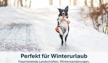 Seebrücke Sellin