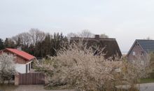 Fairmietung Gartenblick 2. OG rechts - ABC543