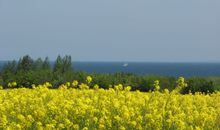 Ausblick Küche