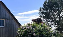 Sommerhaus 54, Gartenhaus "S"