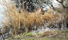 Natur entdecken