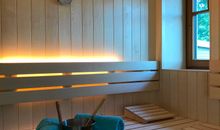 Sauna  mit Fenster zum Garten
