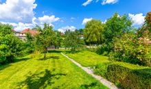 Blick in den großen Garten