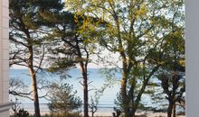 Seitlicher Blick aus dem Fenster