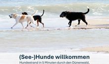 Bringen Sie Ihre Lieblingsfellnase(n) mit!