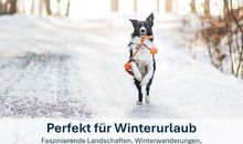 Auch im Winter ist die Insel jeden Besuch wert!