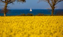 Blick auf die Ostsee mit Segler.