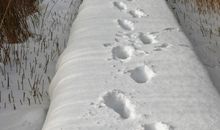 Außenbereich Finnhütte 4