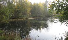 Pferdestall