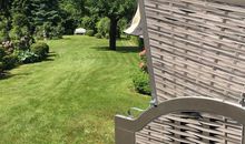 Blick in den Garten