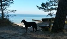 Strand (Ostsee)