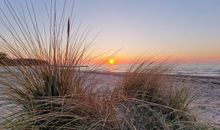 Baltic Hideaway Beach Hotel Warnemünde - Grand View Double Room mit Panorama Meerblick