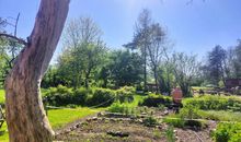 Blick in den Garten