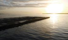 Besonderes Ferienhaus an der Ostsee mieten - gute Bewertung - Wismar - Rostock - Insel Poel - rauchfrei - tierfrei