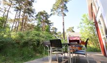 Terrasse umgeben von Kiefern