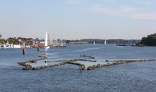 Heringszaun in Kappeln