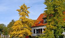 Ferienhaus am Strand GM 69668