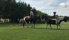 Ponyreiten