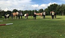Ponyreiten