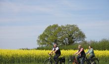 sehr gut ausgebaute Radwege