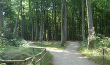 Ferienhaus Ostseeparadies auf dem Ostseecamp Graal-Müritz