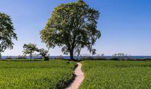 Natur