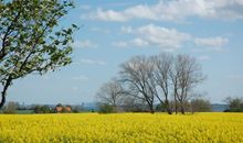Blick auf die Wismarbucht