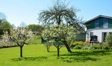 Obstbäume im Garten und Terasse mit Strandkorb