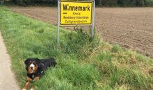 Willkommen in Winnemark