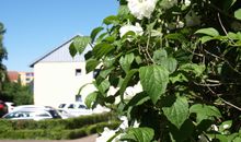 Sitzmöglichkeit im Grünen