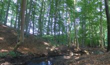 Bachlauf
