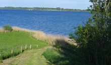 Die Schlei