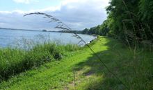 Liegewiese direkt am Schleiufer
