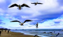 Strandspaziergang bei kaltem Wind