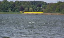Die Schlei