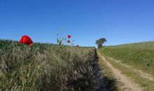 Wanderwege zwischen Schulberg und Gothen