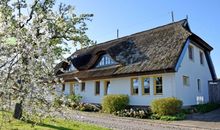 Wohnraum mit Couchecke