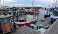 Maasholmer Hafen