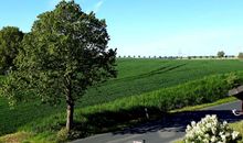 Terrasse mit Blick ins Grüne