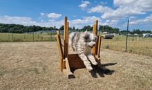 Ostseeferienpark Walkyrien - Bootsmann 02